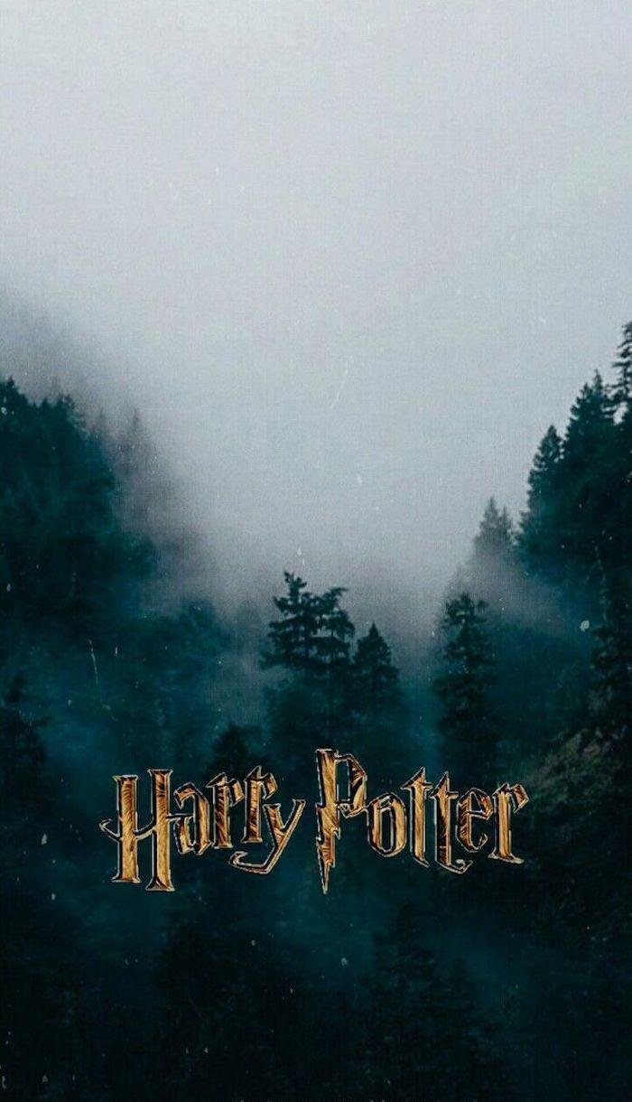 700x1220 cho hình nền Harry Potter huyền diệu