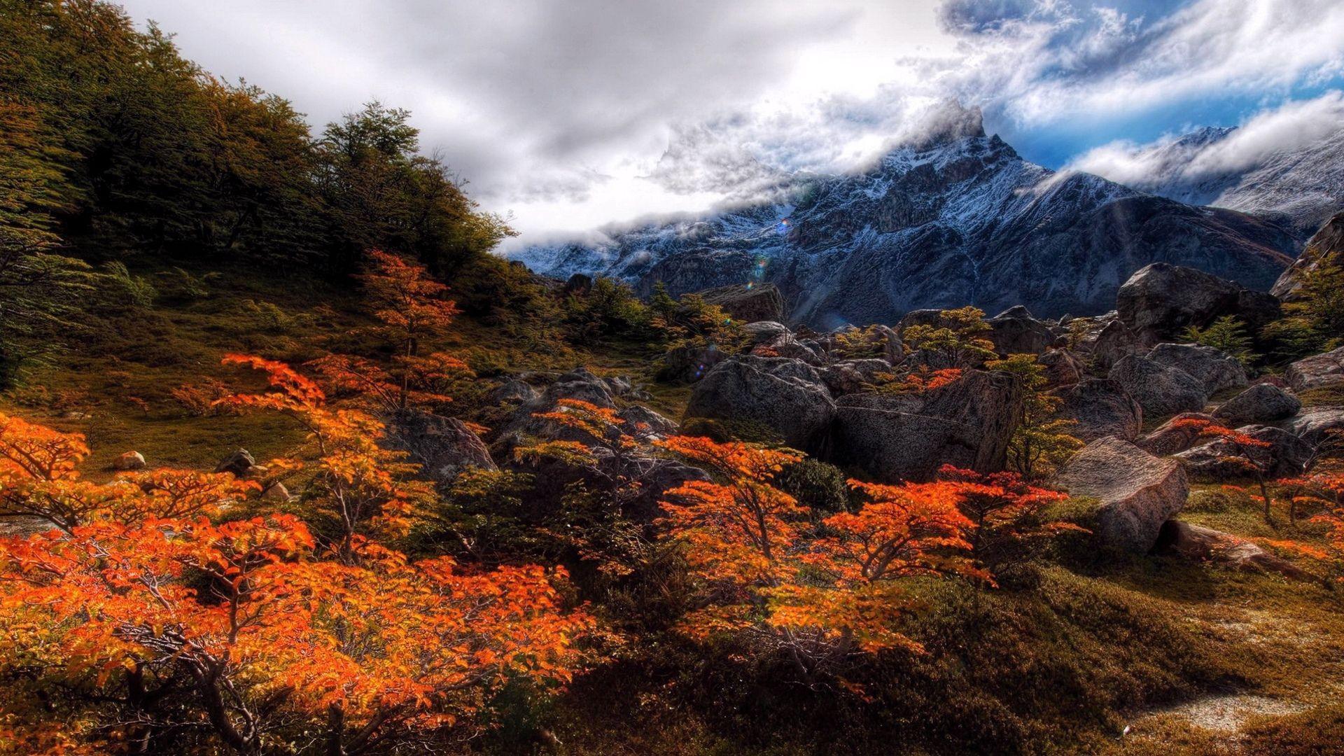 1920x1080 HD Wallpaper 1920x1080 Nature