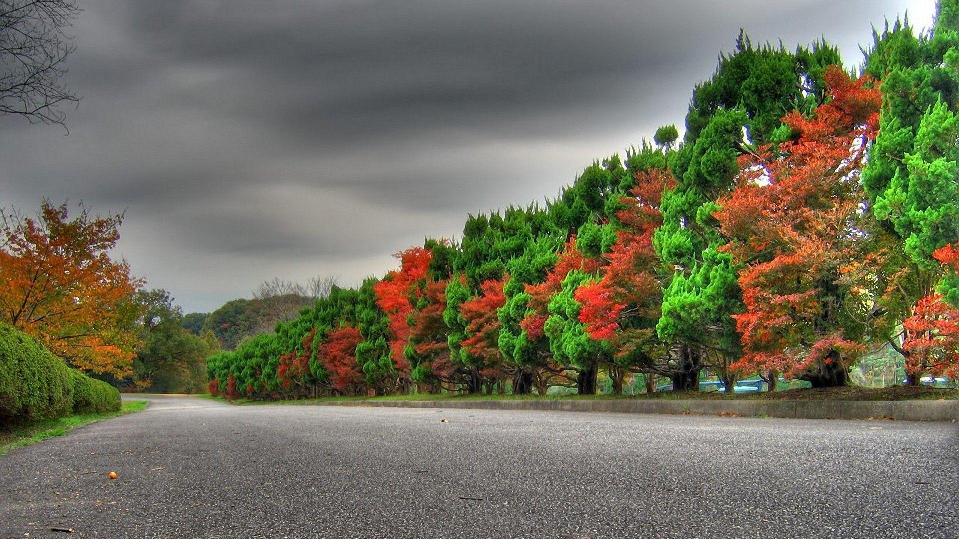 1920x1080 Open Road of Nature