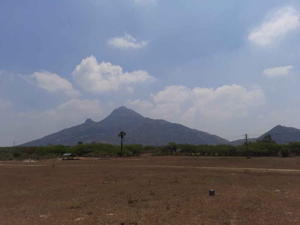 1024x768 Malaysian Swamini Premanandeshwari: 17 Years in Tiruvannamalai's Blog