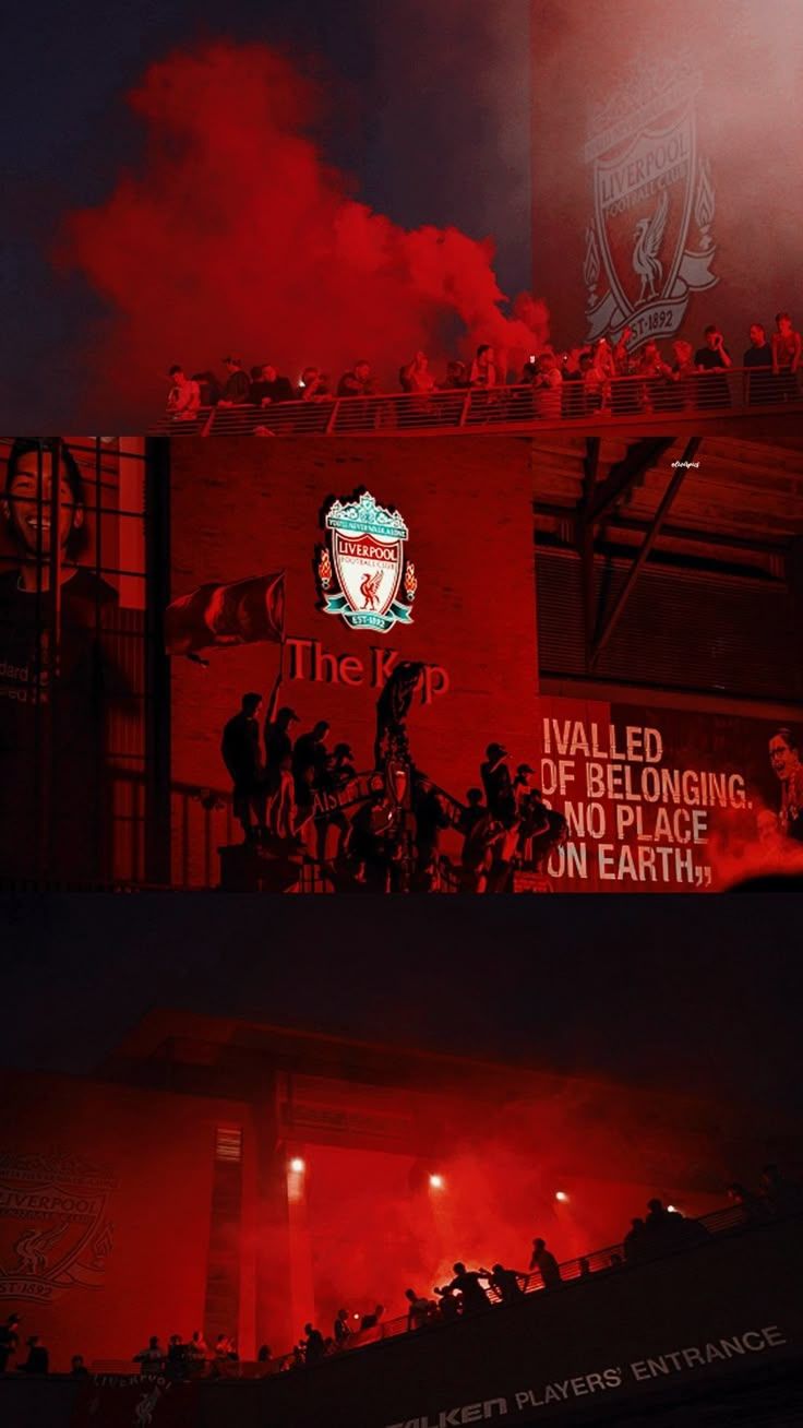 736x1308 Wallpaper Liverpool Fc
