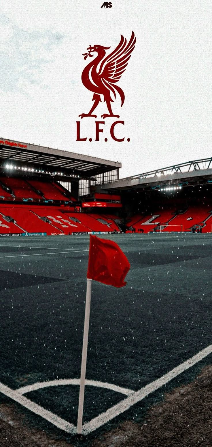 736x1553 Liverpool FC 4k Mobile Wallpaper