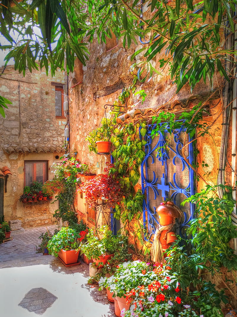 800x1067 French village, architecture, bonito, france, street, village, HD phone wallpaper