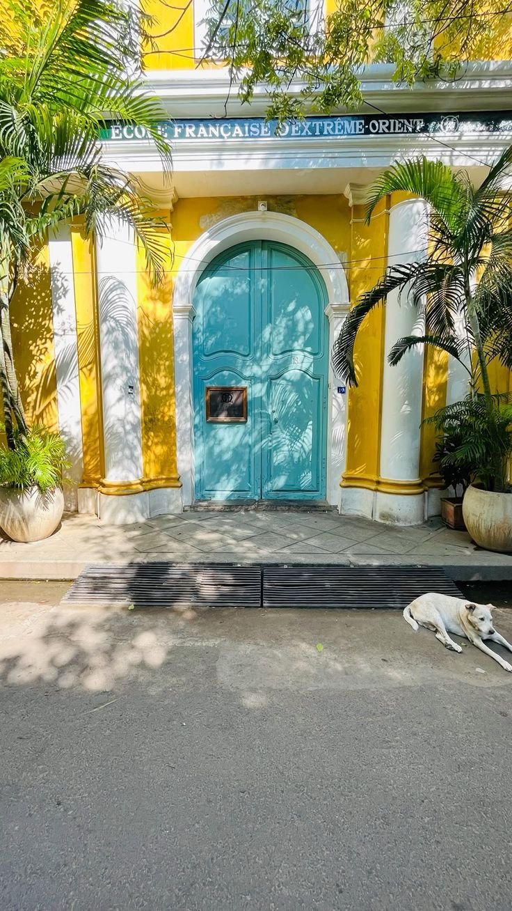 736x1308 Pondicherry