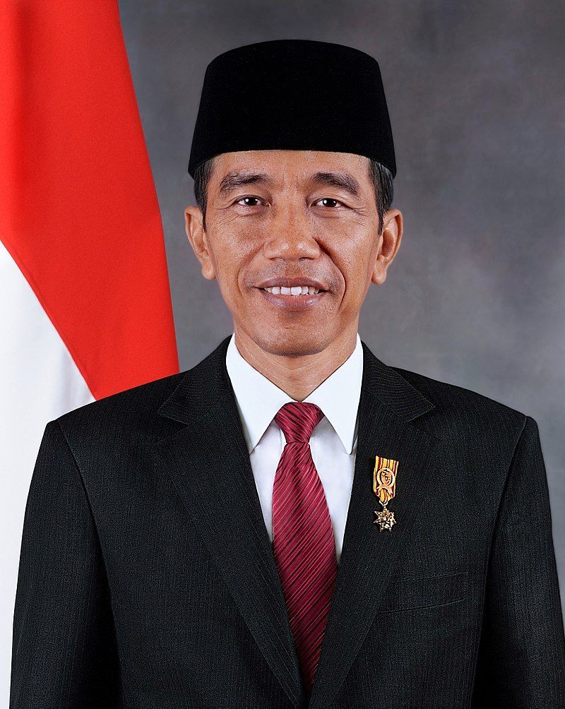 800x1004 wallpaper Presiden Jokowi