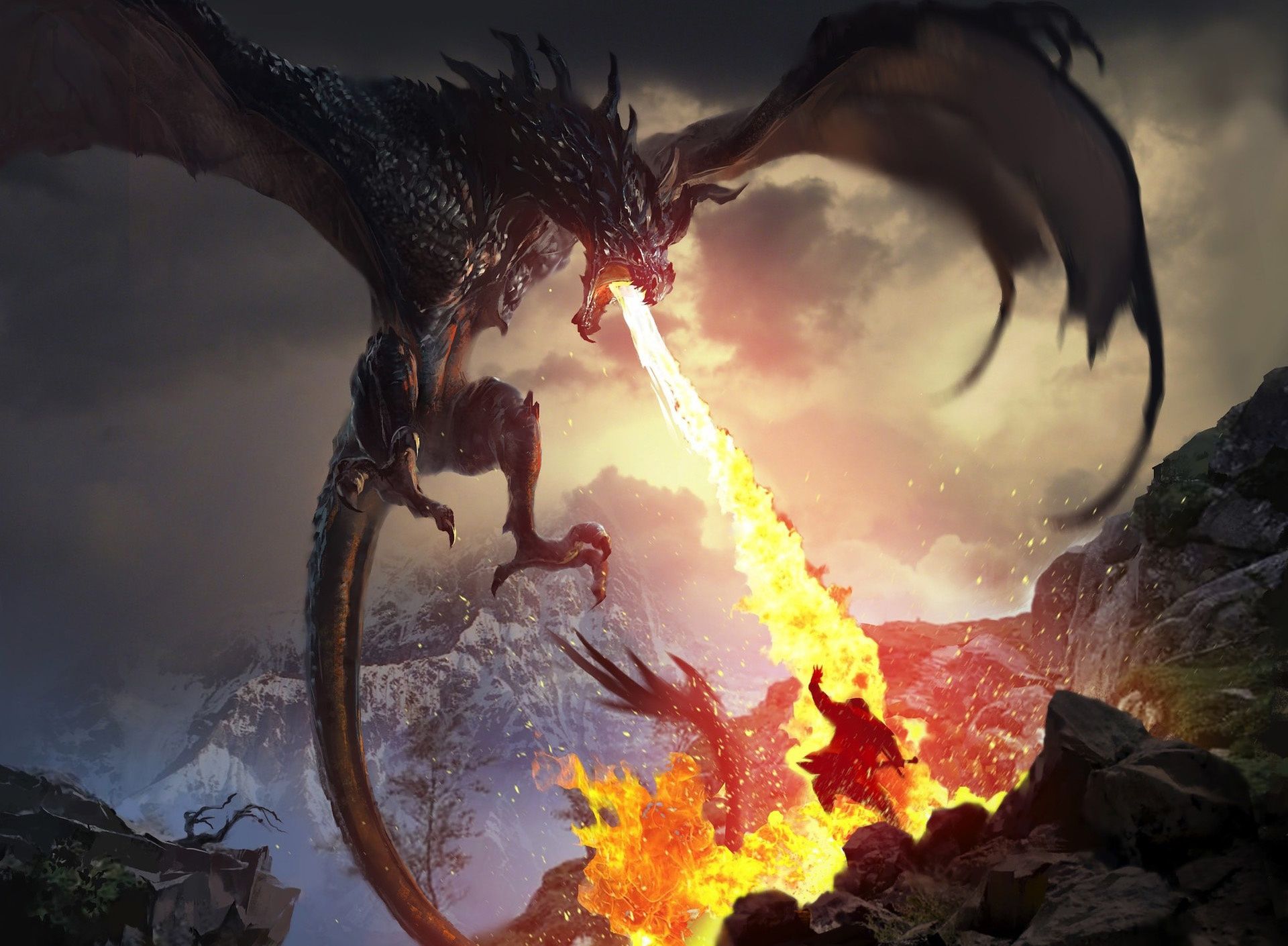 1920x1410 Wallpaper lights, dragon, warrior, The Elder Scrolls Legends for mobile and desktop, section игры, resolution 1920x1410