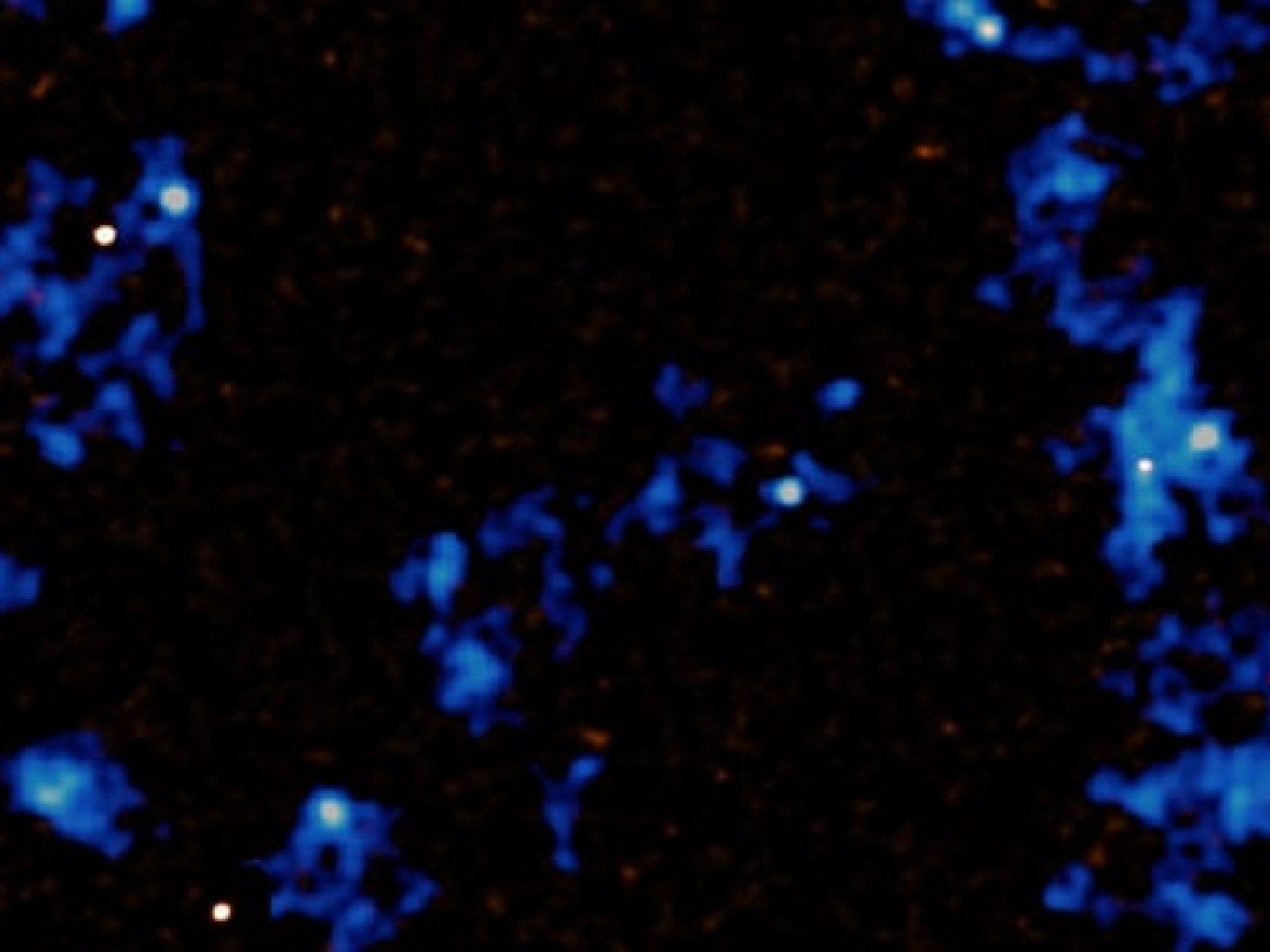 1600x1200 Humanity Has Finally Been Able to Observe the Cosmic Web