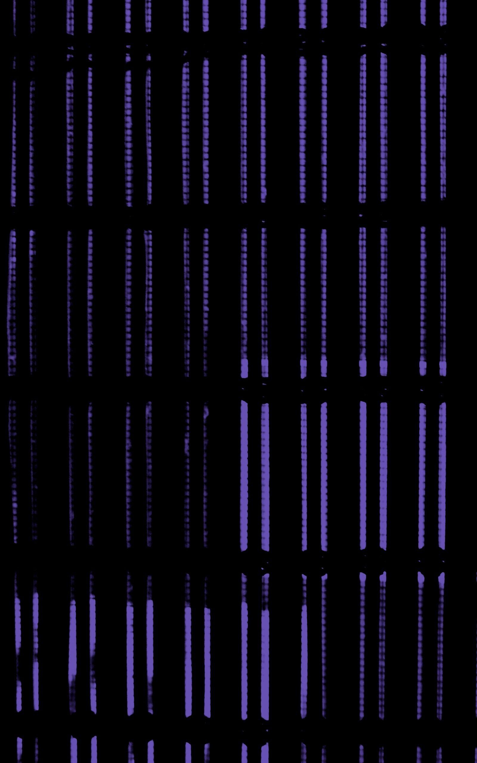 1600x2560 Download wallpaper 1600x2560 lines, purple, black, vertical, dark HD background