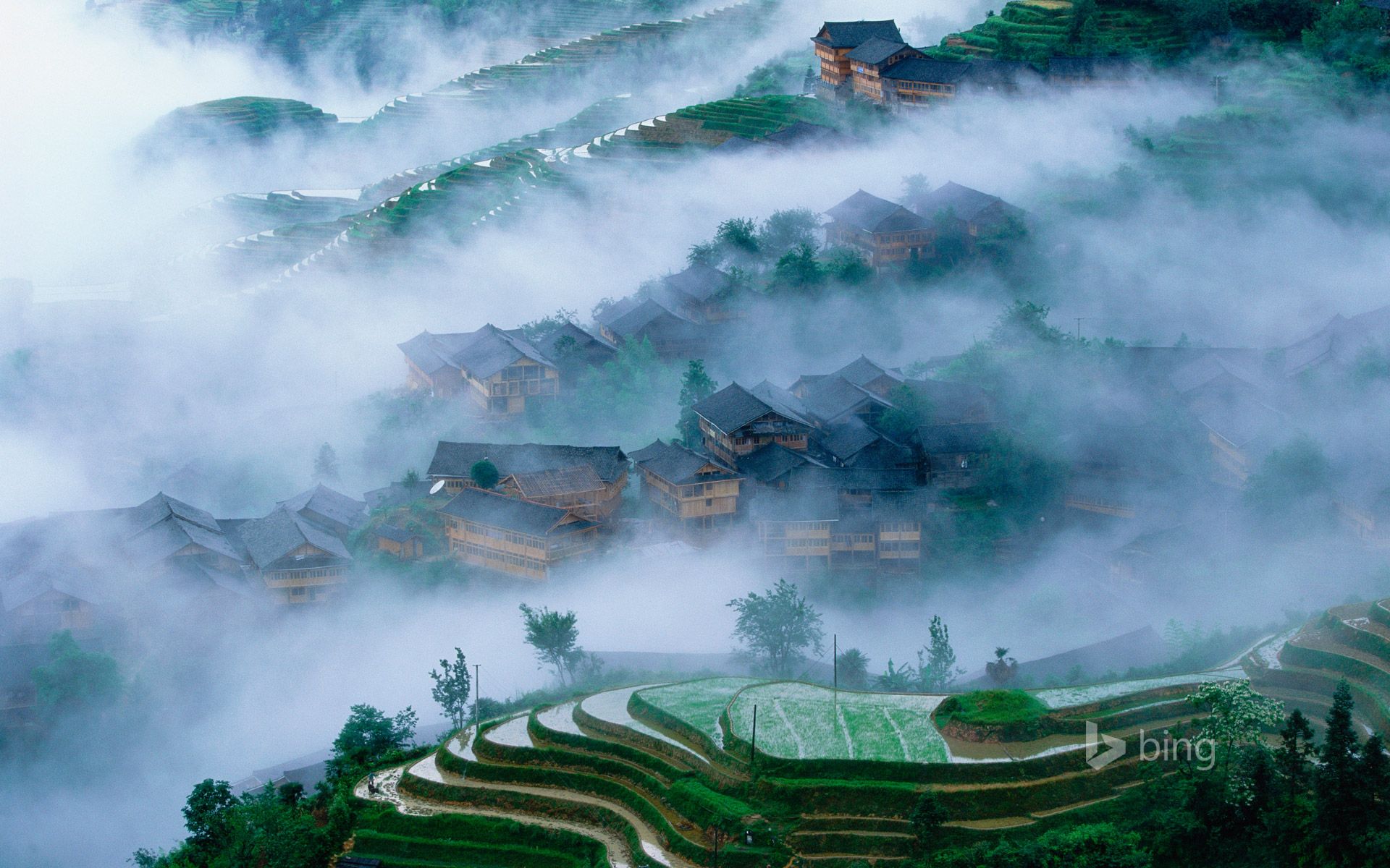1920x1200 Longsheng rice terraces, Guangxi, China Wallpaper