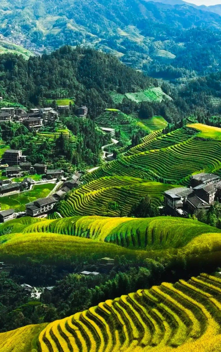 768x1222 Guangxi Archives
