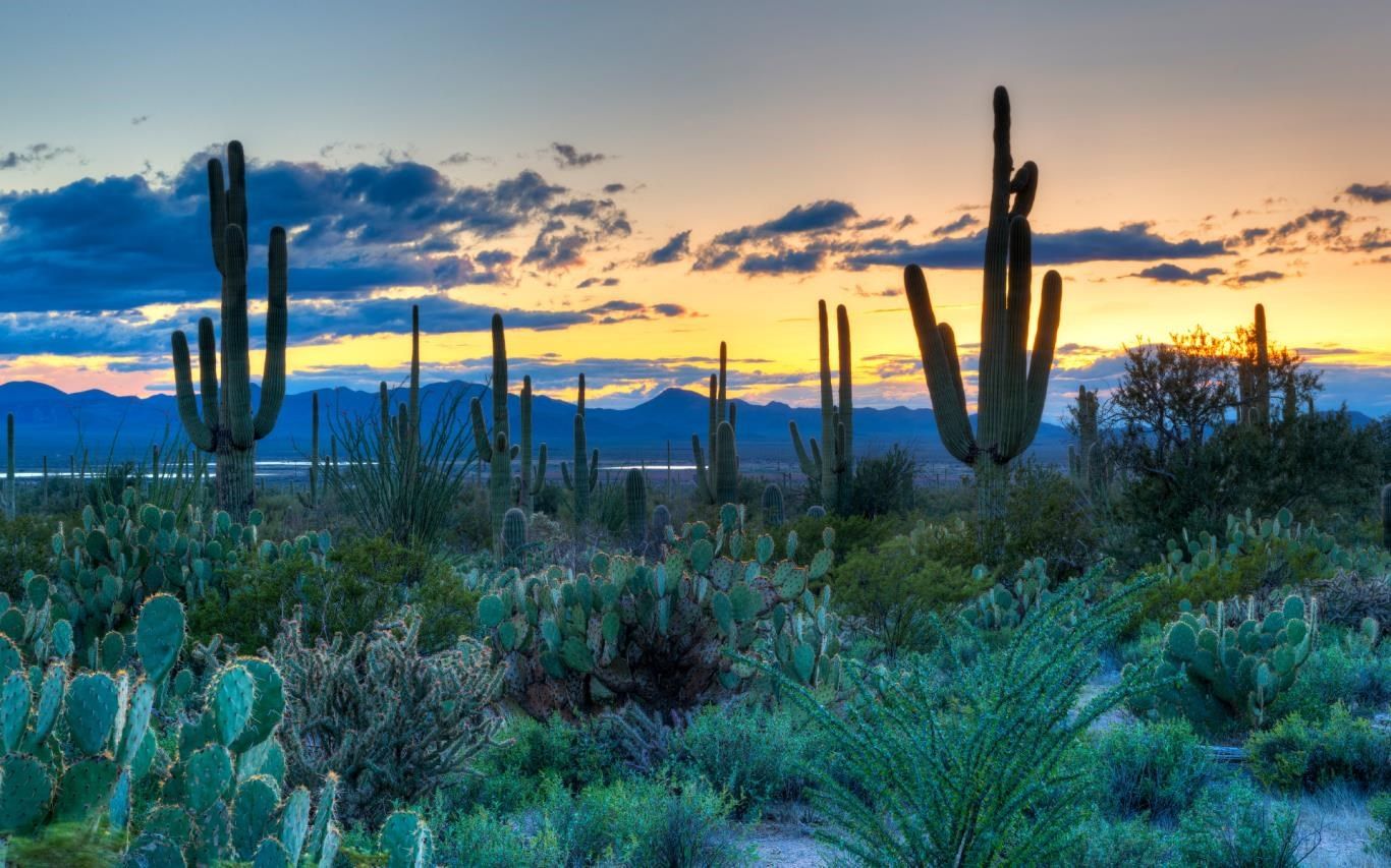 1366x853 US National Parks download and install on Windows