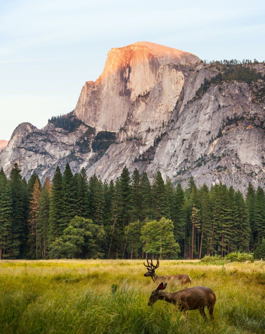 902x1135 Enjoying US National Parks Responsibly