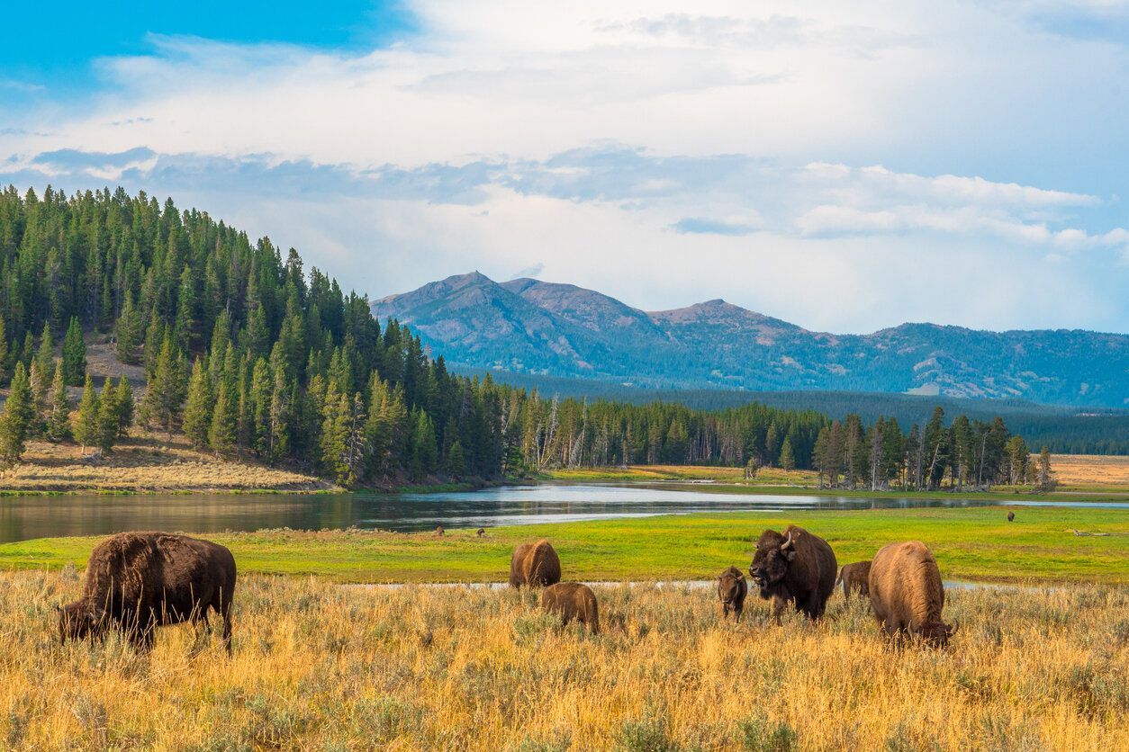1254x836 Best national parks to visit in the US