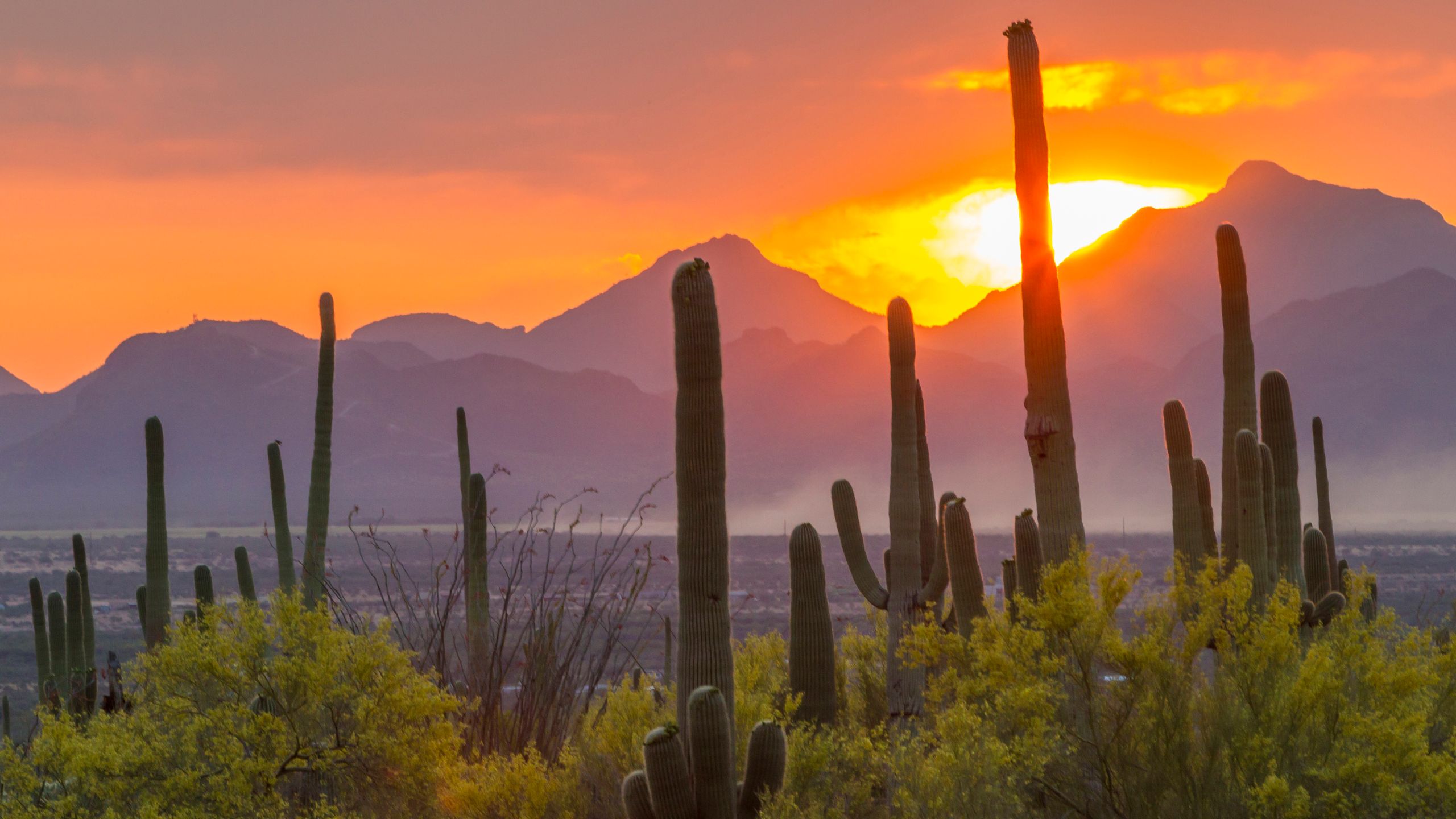2560x1440 Visit All U.S. National Parks for Free on These Days. Condé Nast Traveler