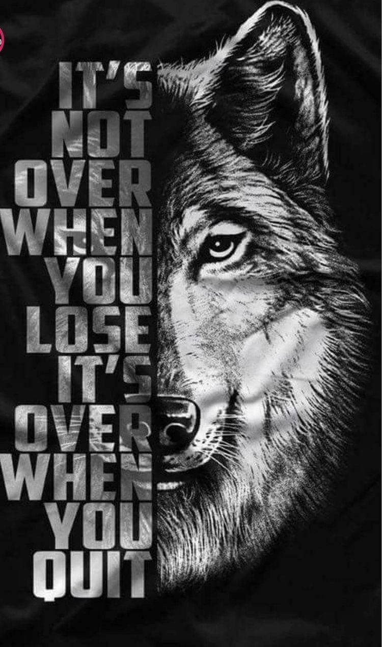 Wolf Quotes Wallpapers - Top Free Wolf Quotes Backgrounds - WallpaperAccess