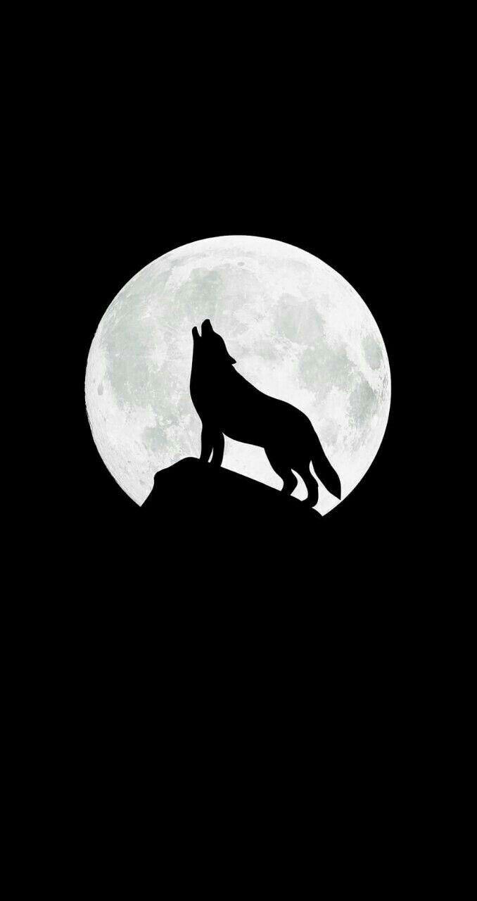 678x1280 Dark Wallpaper