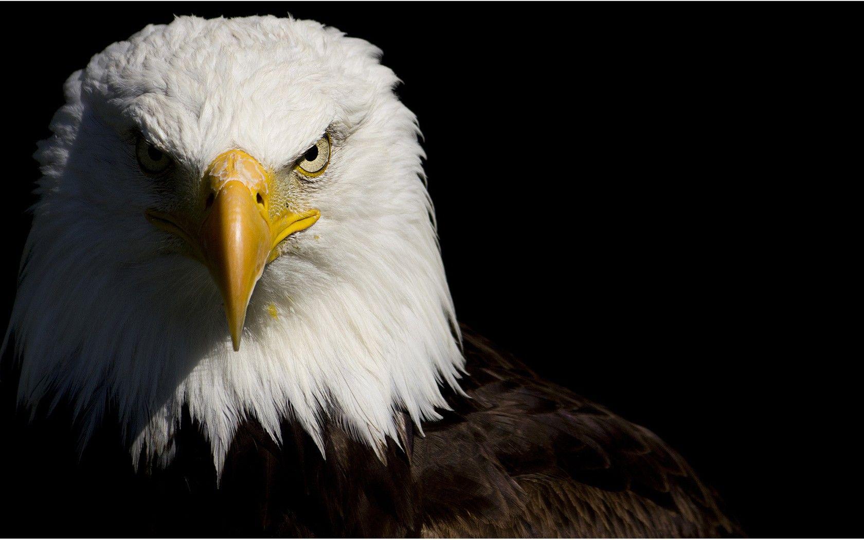 1680x1050 Flag. Free HD Top Most Downloaded Wallpaper