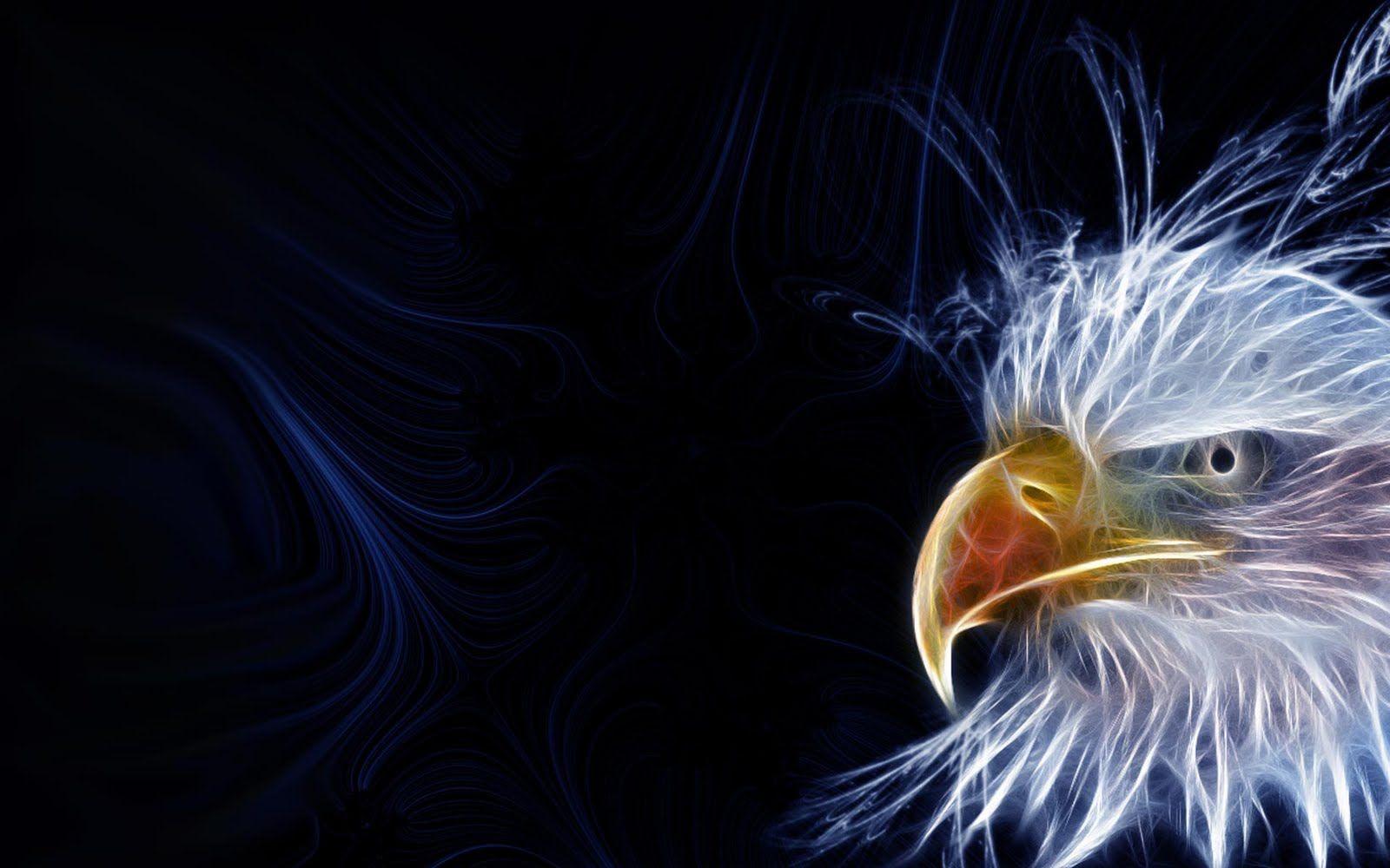 1600x1000 American eagles wallpaper, image, pics