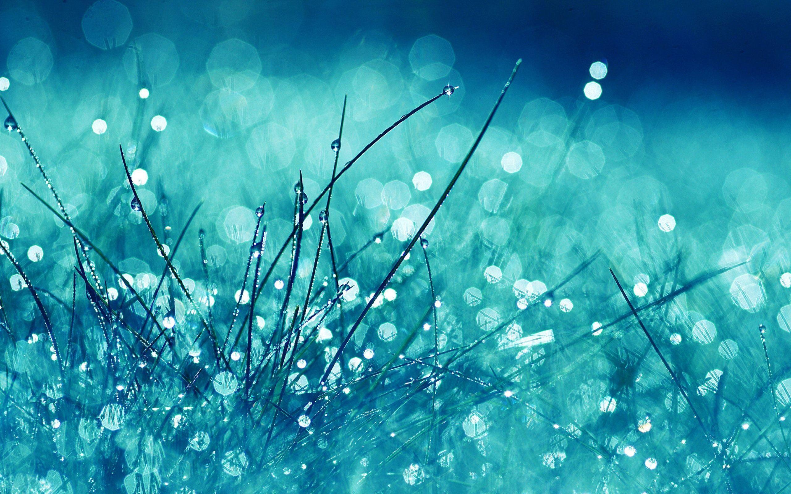 2560x1600 Glitter Wallpaper 12 - [2560x1600]