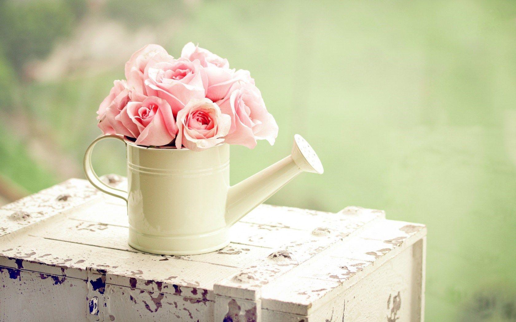 1680x1050 Cute Pink Flowers Wallpaper
