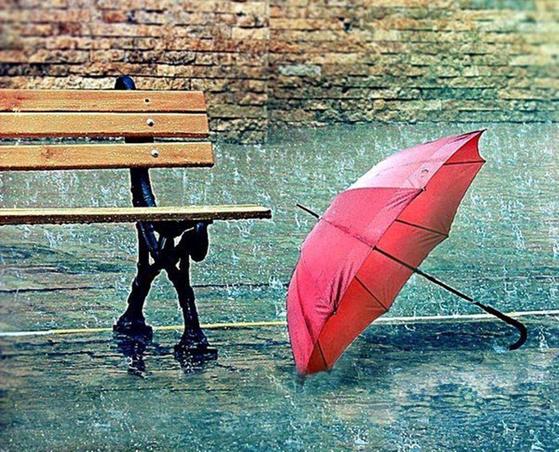 1130x914 Red umbrella near a bench
