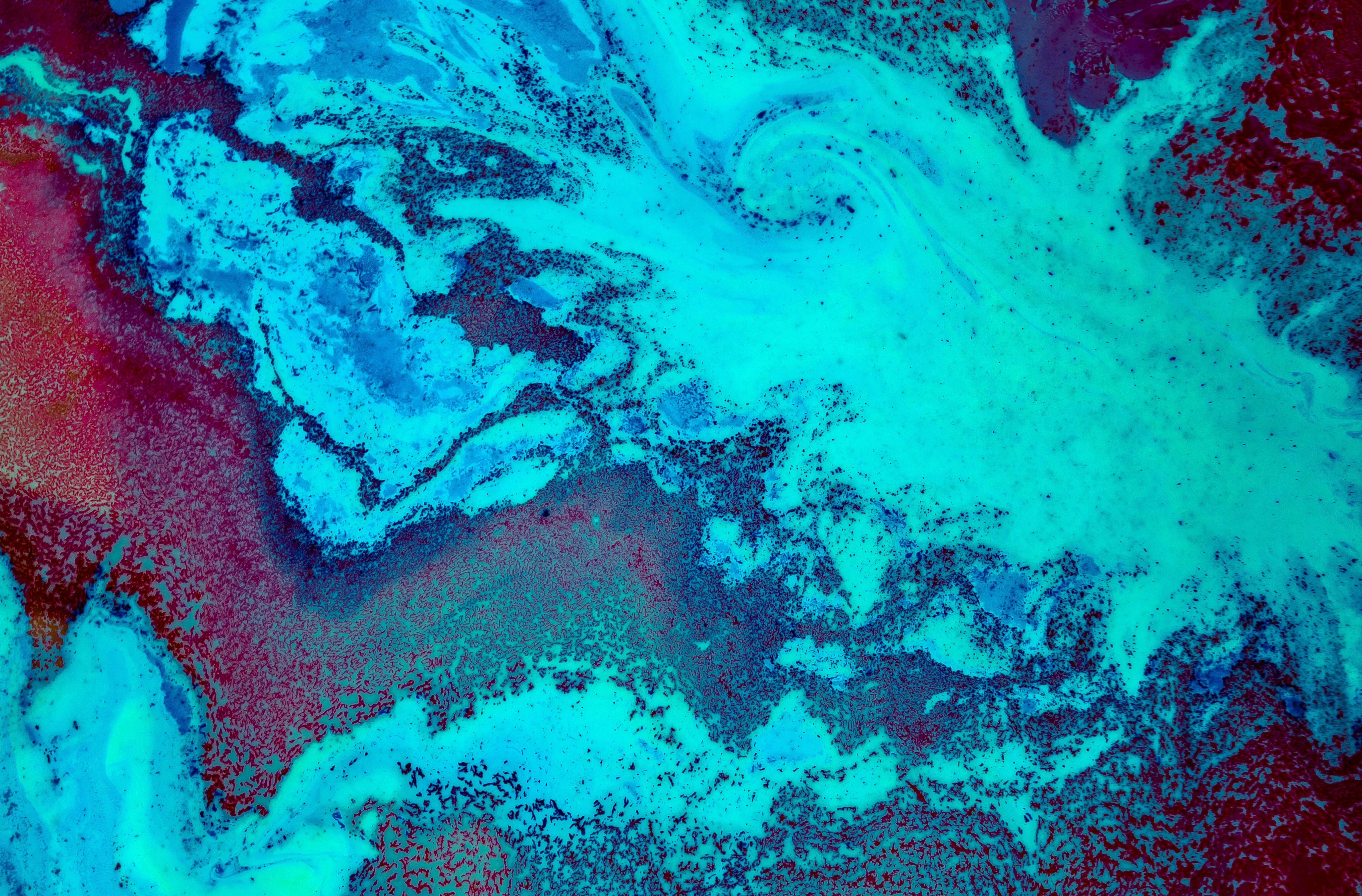 5472x3601 coral reef, nature, hd, 4k, 5k