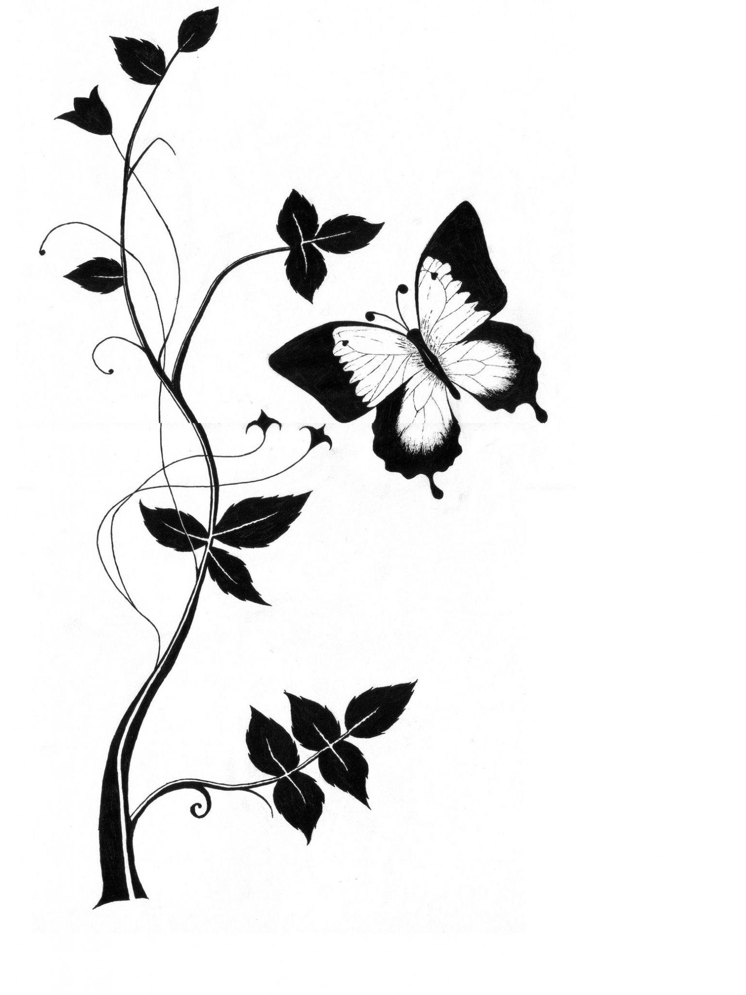 1536x2048 Free download Cute Butterfly Line Drawing Download Clip Art