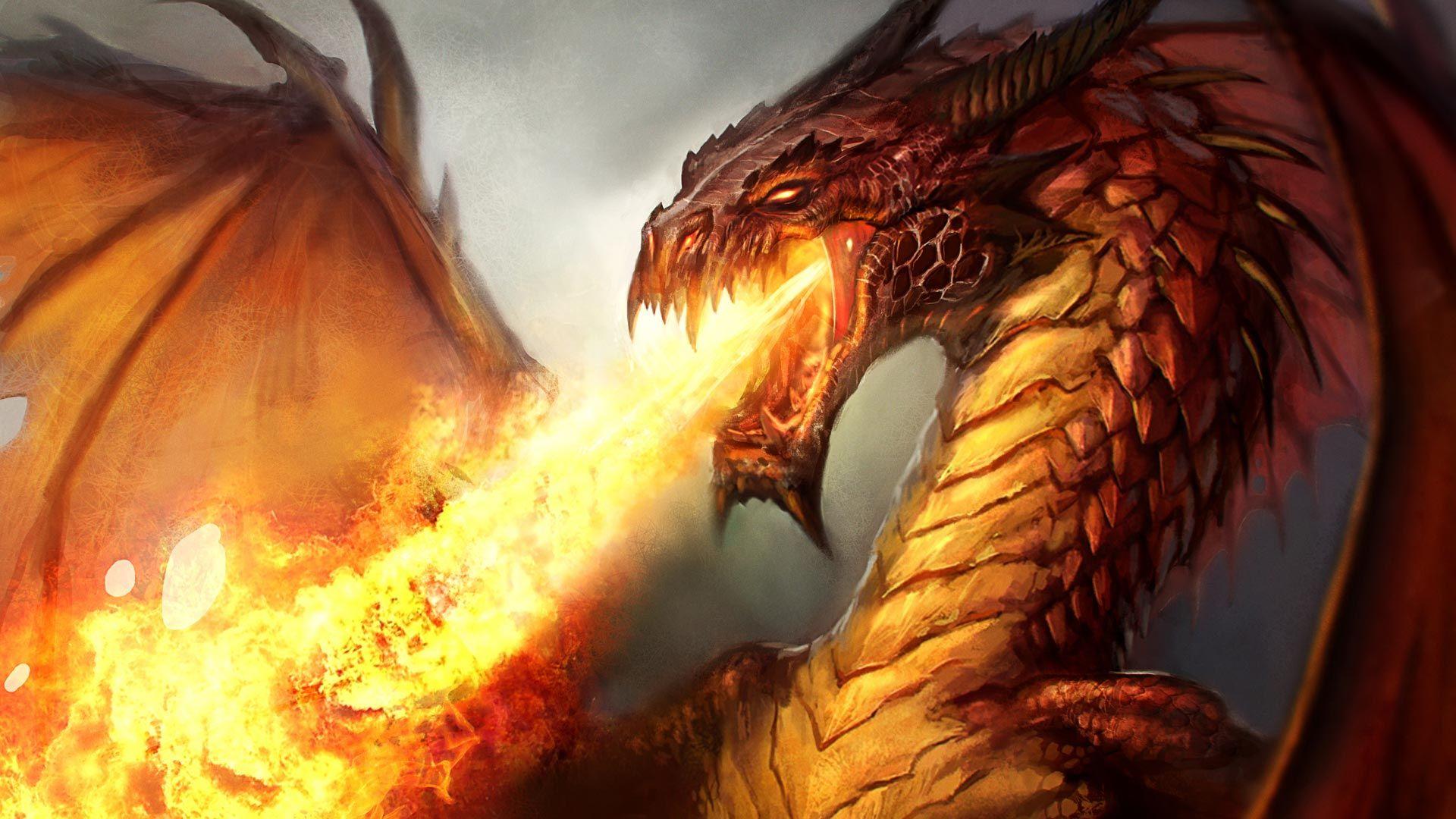 Angry Dragon Wallpapers Top Free Angry Dragon Backgrounds