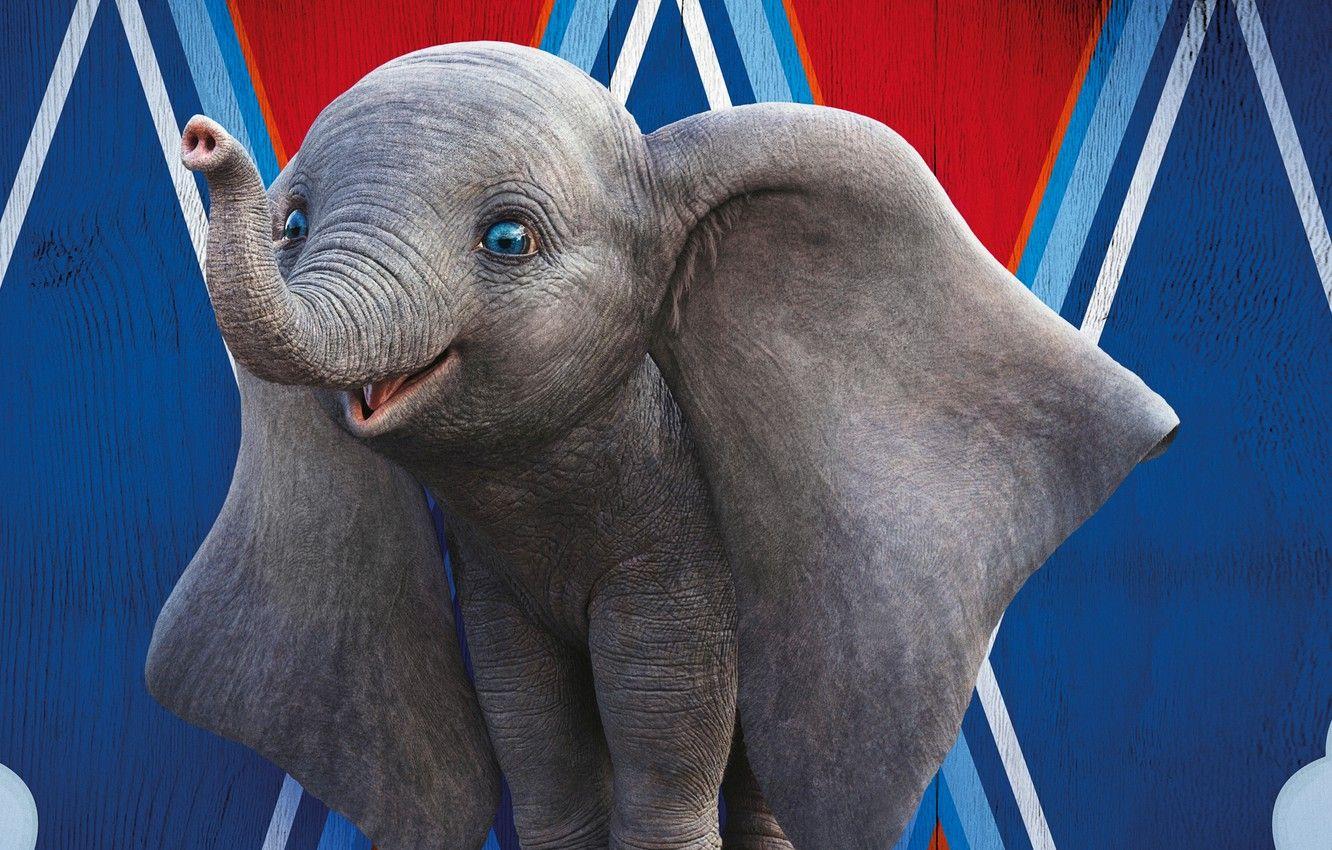 1332x850 Wallpaper eyes, elephant, cartoon, circus, ears, trunk, elephant