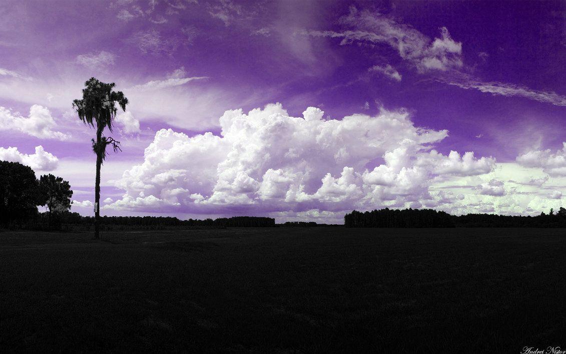 Hình nền 1131x707 HD Purple sky 1680