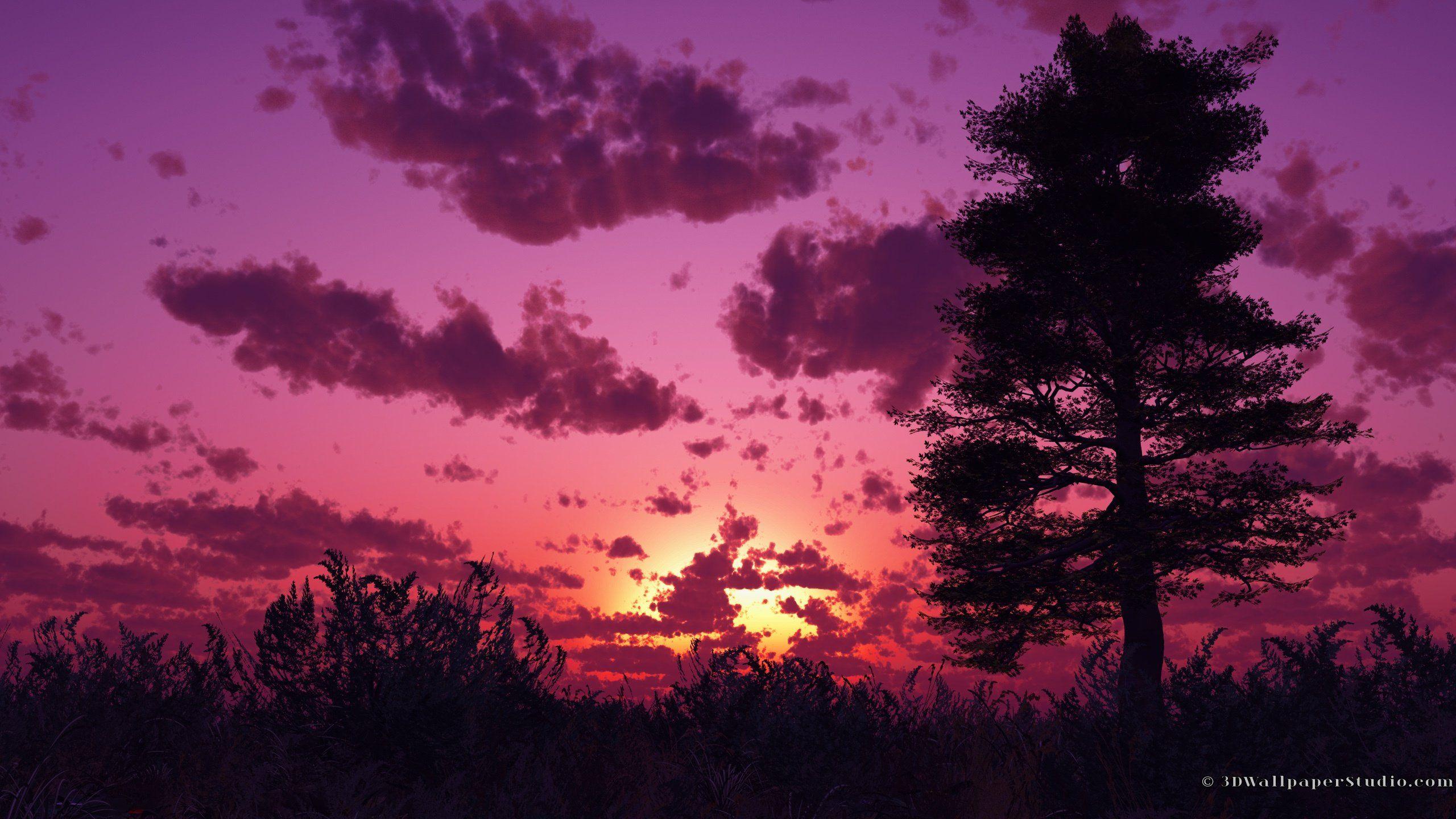 Purple Sky Wallpapers Top Free Purple Sky Backgrounds Wallpaperaccess