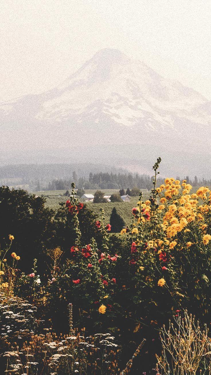 736x1308 iPhone wallpaper : 12 Relaxing Nature iPhone Xs Wallpaper