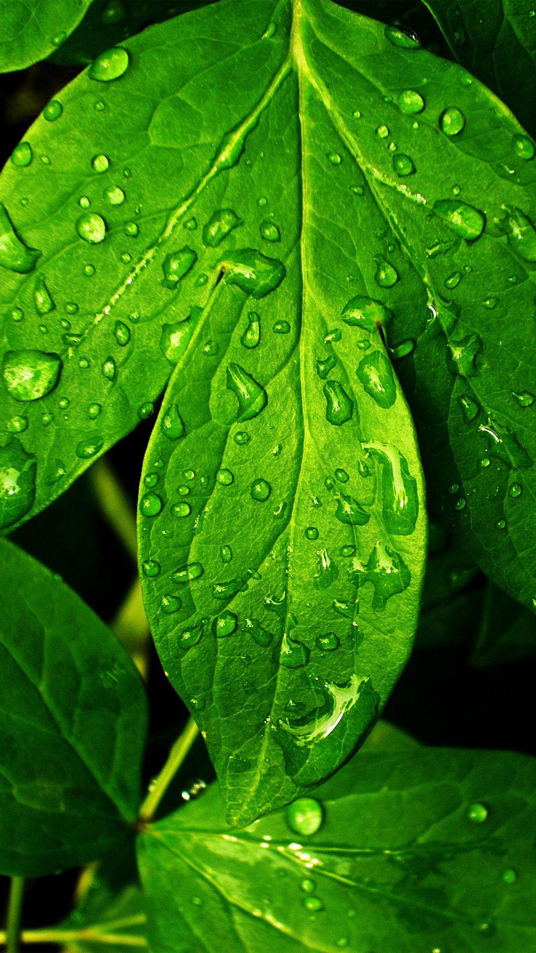 High Resolution iPhone Wallpapers - Top Free High Resolution iPhone