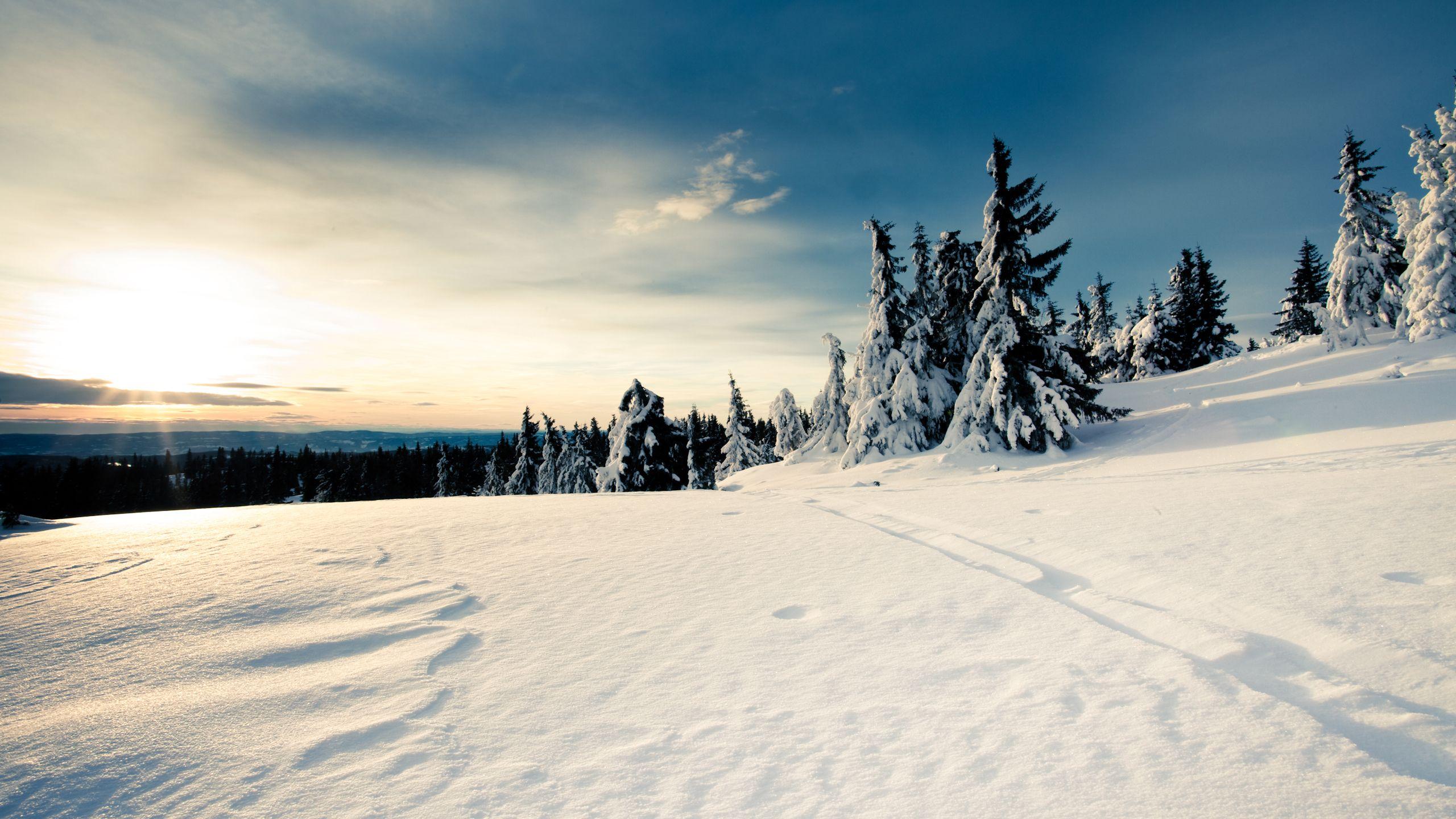 2560x1440 Snow Wallpaperx1440