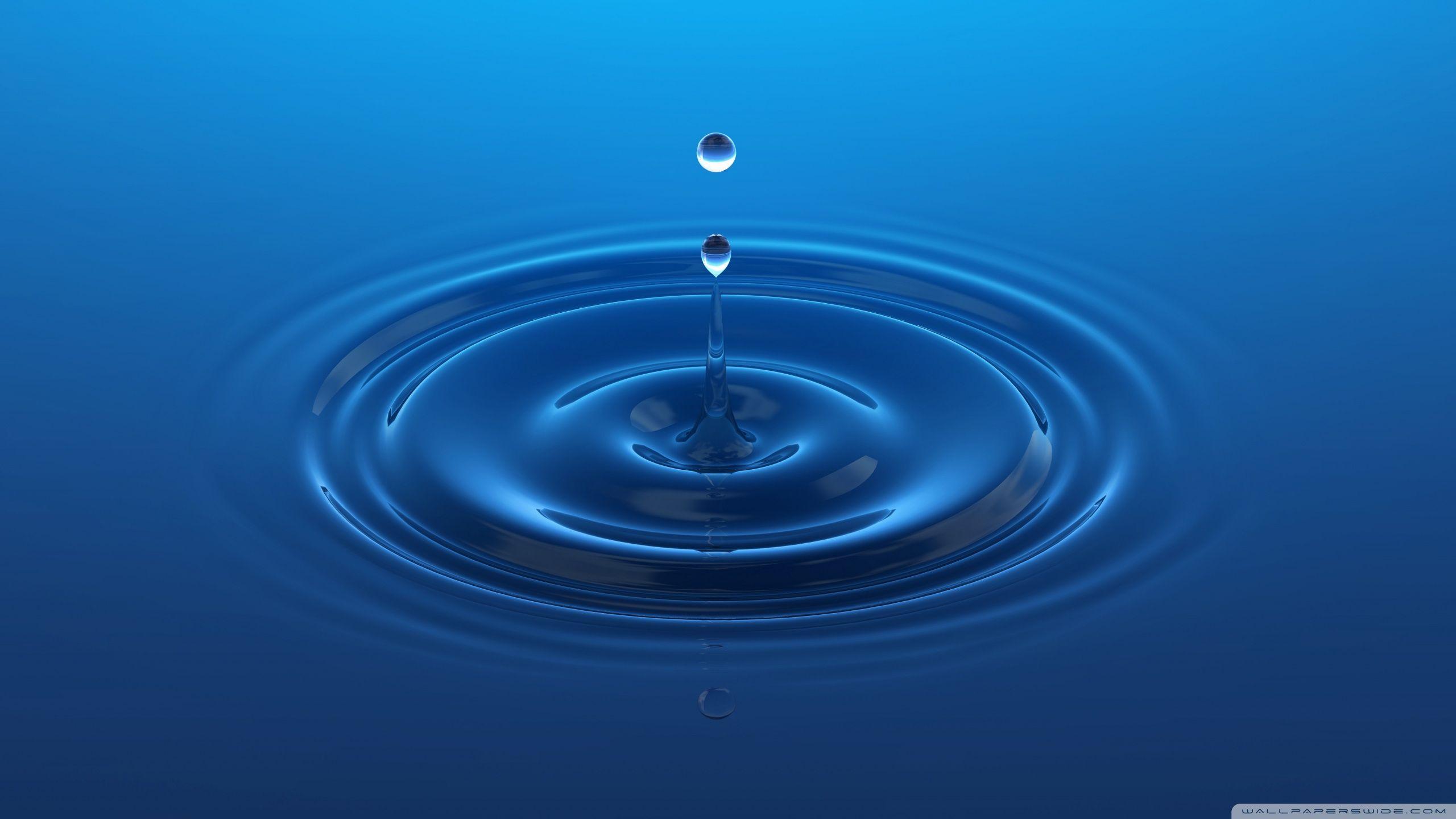 2560x1440 Water Drop Ultra HD Desktop Background Wallpaper for 4K UHD TV