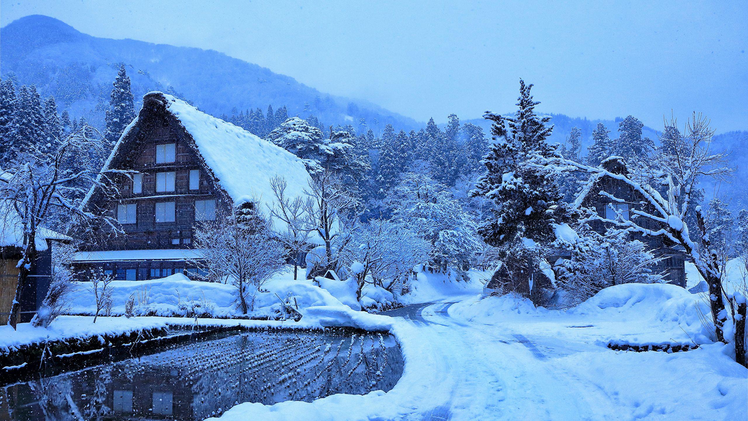 2560x1440 Desktop Wallpaper Japan Village Shirakawa Winter Snow 2560x1440
