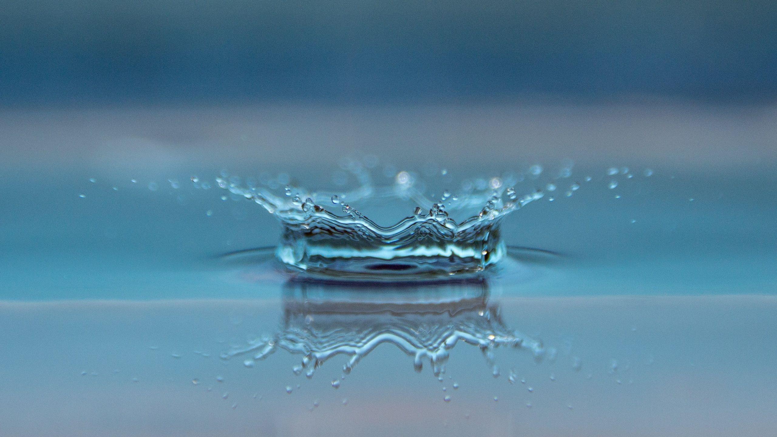 2560x1440 Macro Drop Of Water 1440P Resolution HD 4k Wallpaper