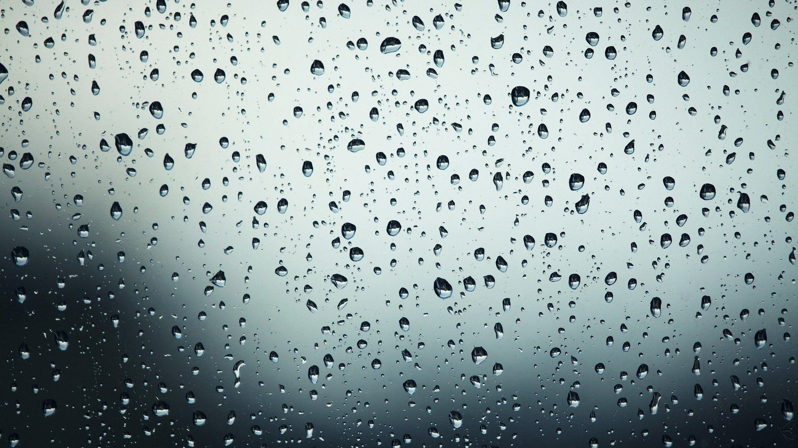 2560x1440 Water drops desktop PC and Mac wallpaper