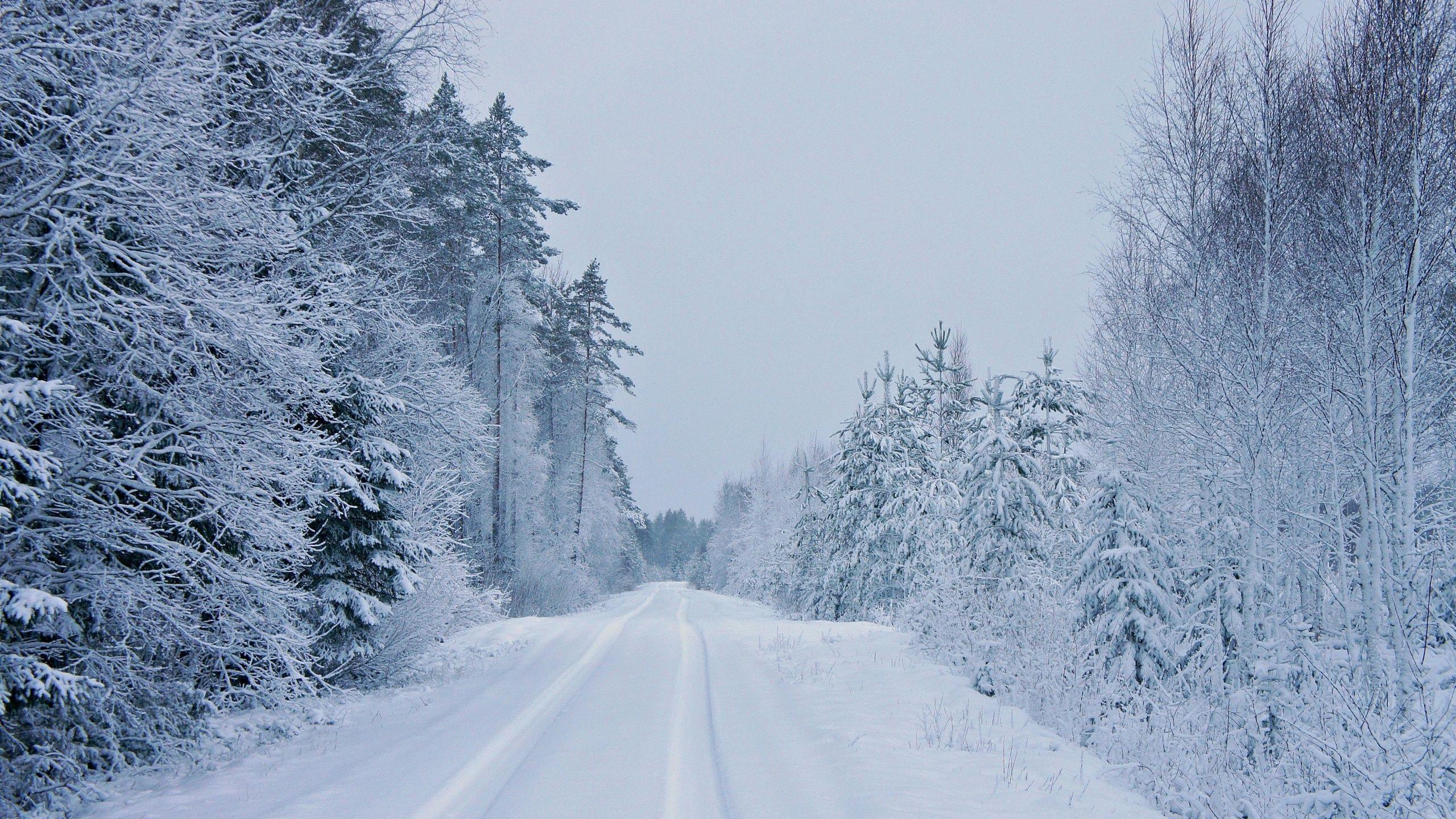 2560x1440 Snowy Winter Road HD Wallpaper. Background Imagex1440