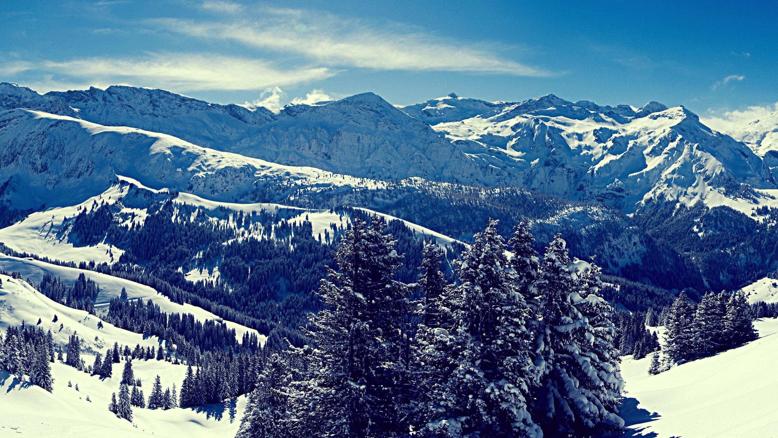 2560x1440 Winter desktop PC and Mac wallpaper