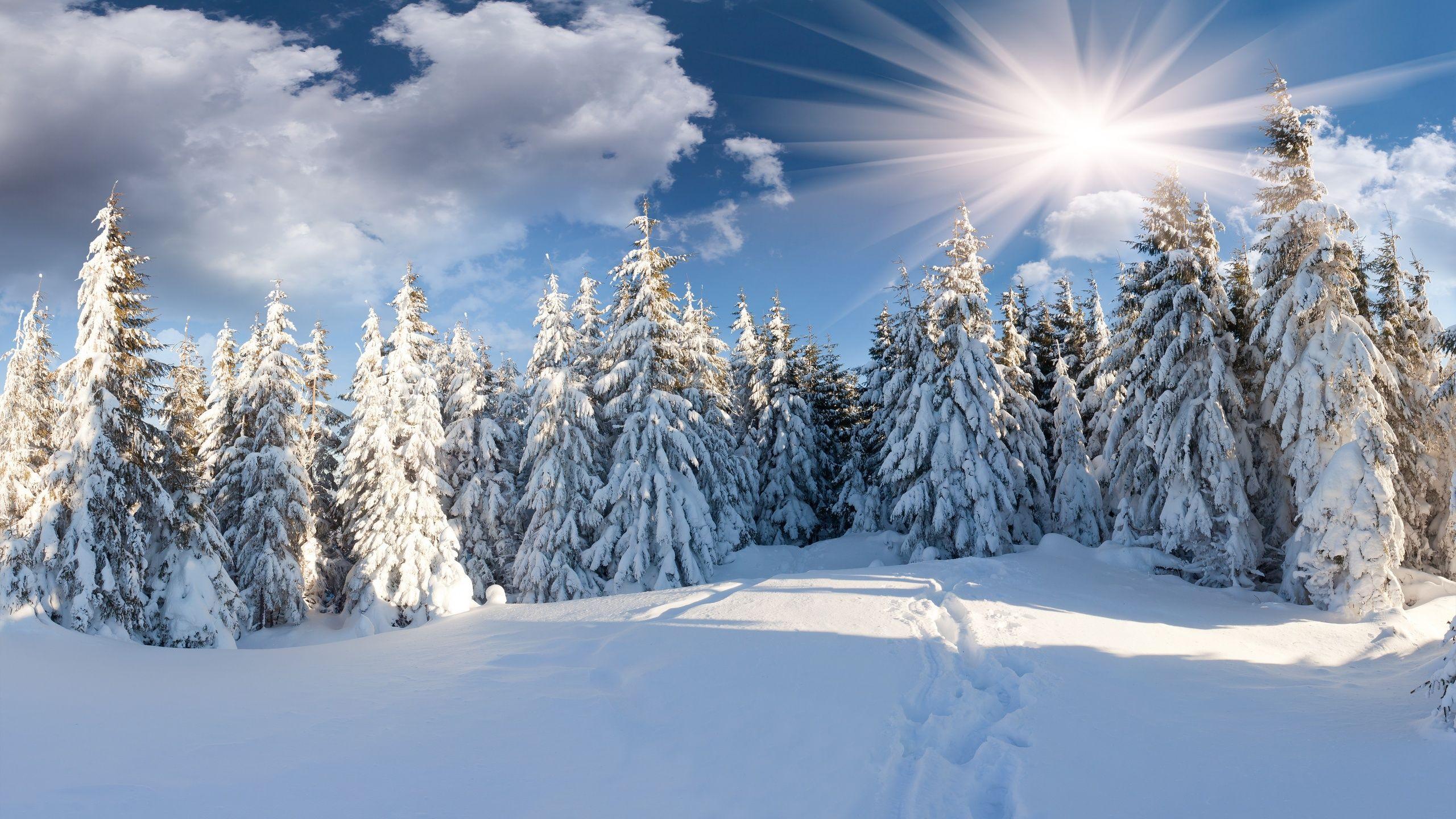 2560X1440 Snow Wallpapers - Top Free 2560X1440 Snow Backgrounds ...