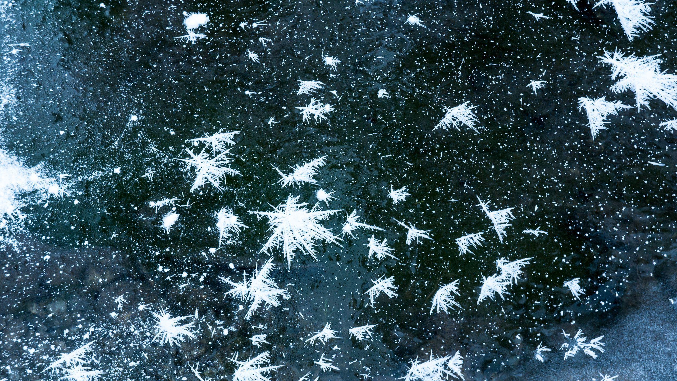 2560x1440 Download wallpaper 2560x1440 snow, ice, water, macro, winter