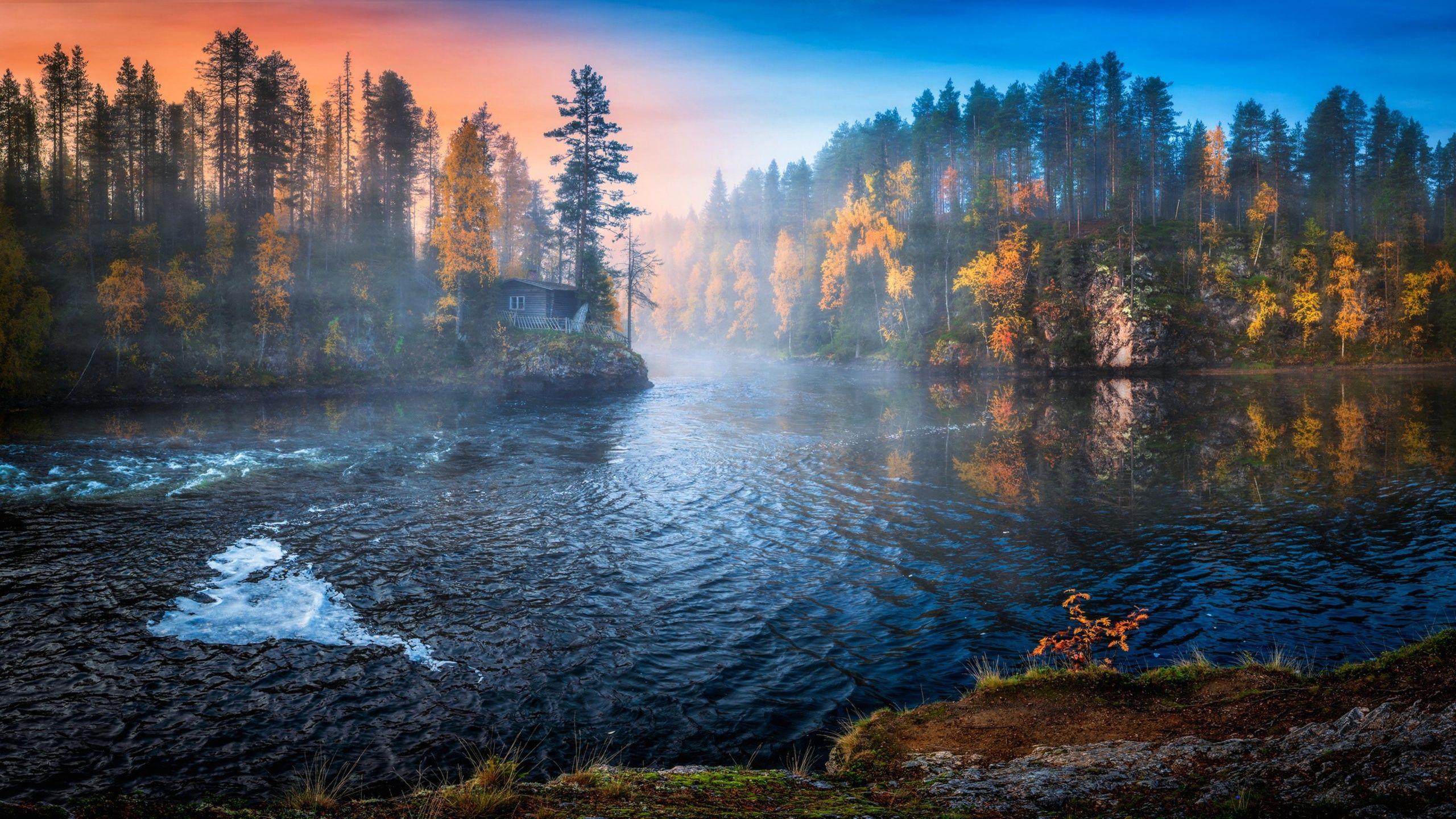 2560x1440 Nature Water Trees Fall Landscape 1440P Resolution HD 4k