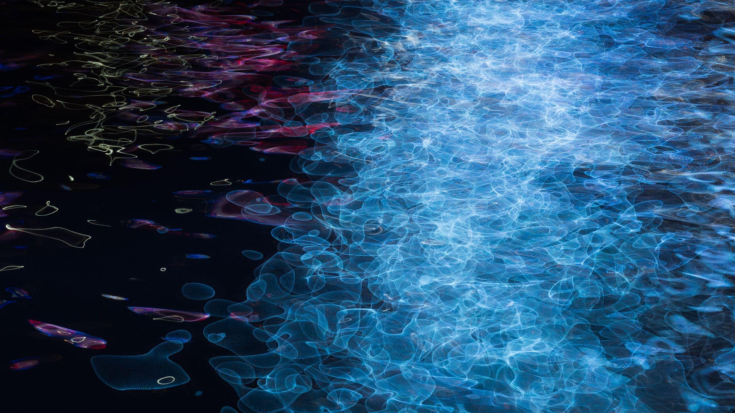 2560x1440 Neon Lights Reflecting In The Dark Water 1440P