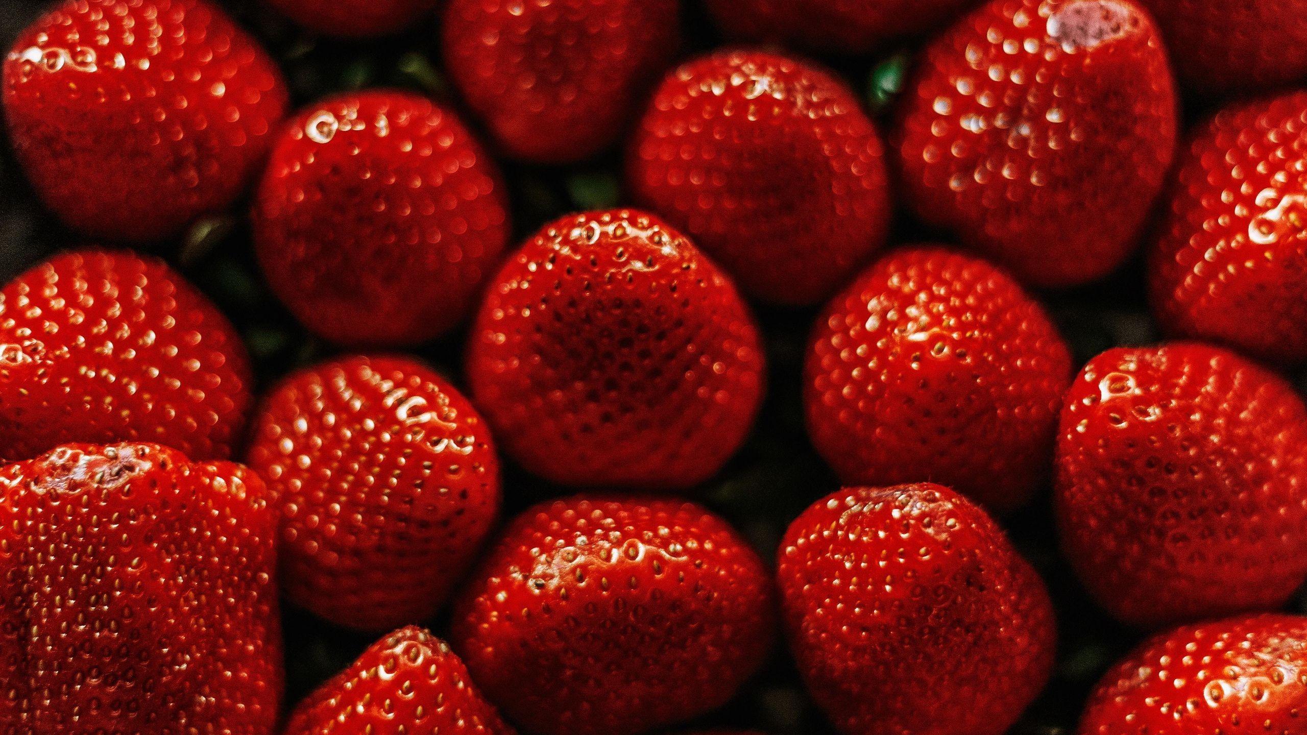 2560x1440 RED. Android phone, HD