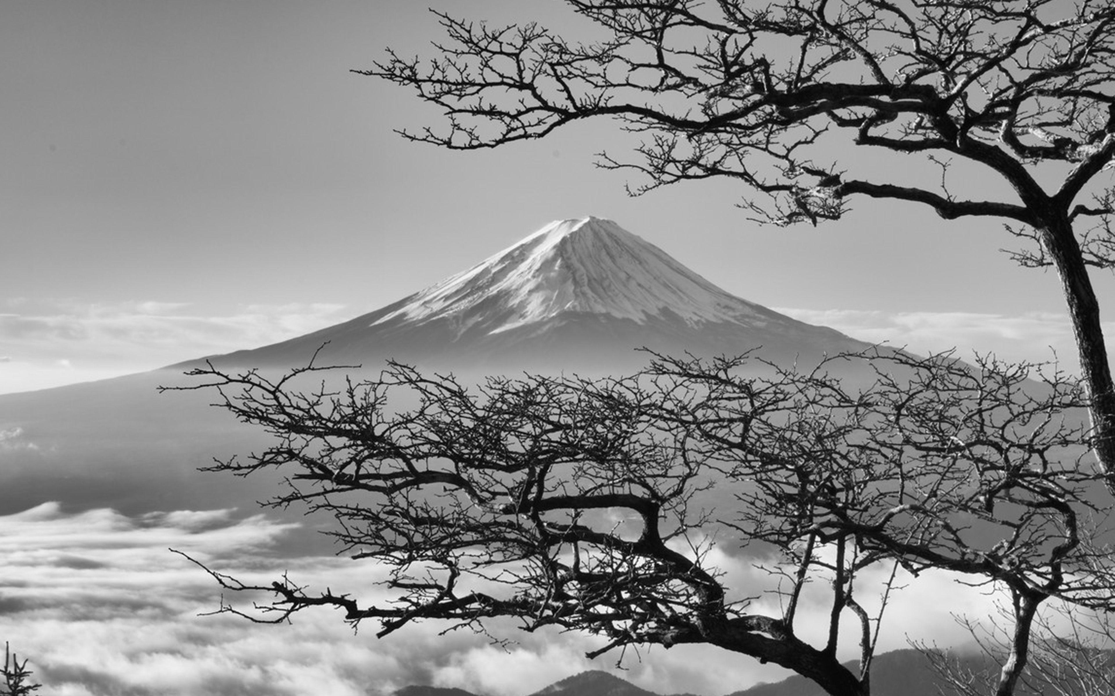 3840x2400 Japan Fuji Maountain Bw Nature Wallpaper
