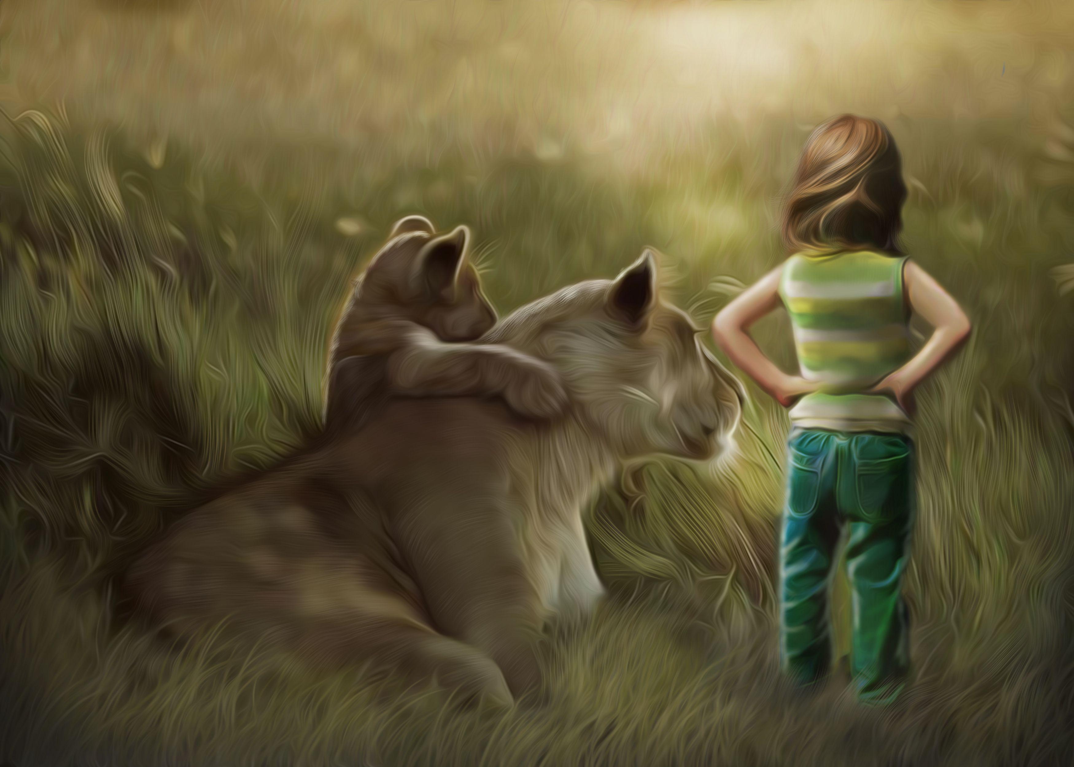Hình nền HD 3499x2500 Lion