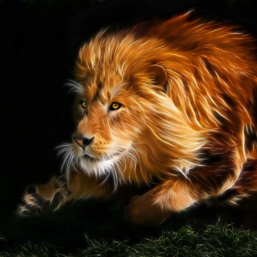 Brave Lion Wallpapers Top Free Brave Lion Backgrounds Wallpaperaccess