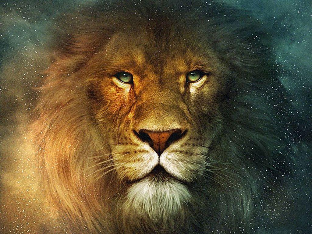 1024x768 The Chronicles of Narnia hình nền