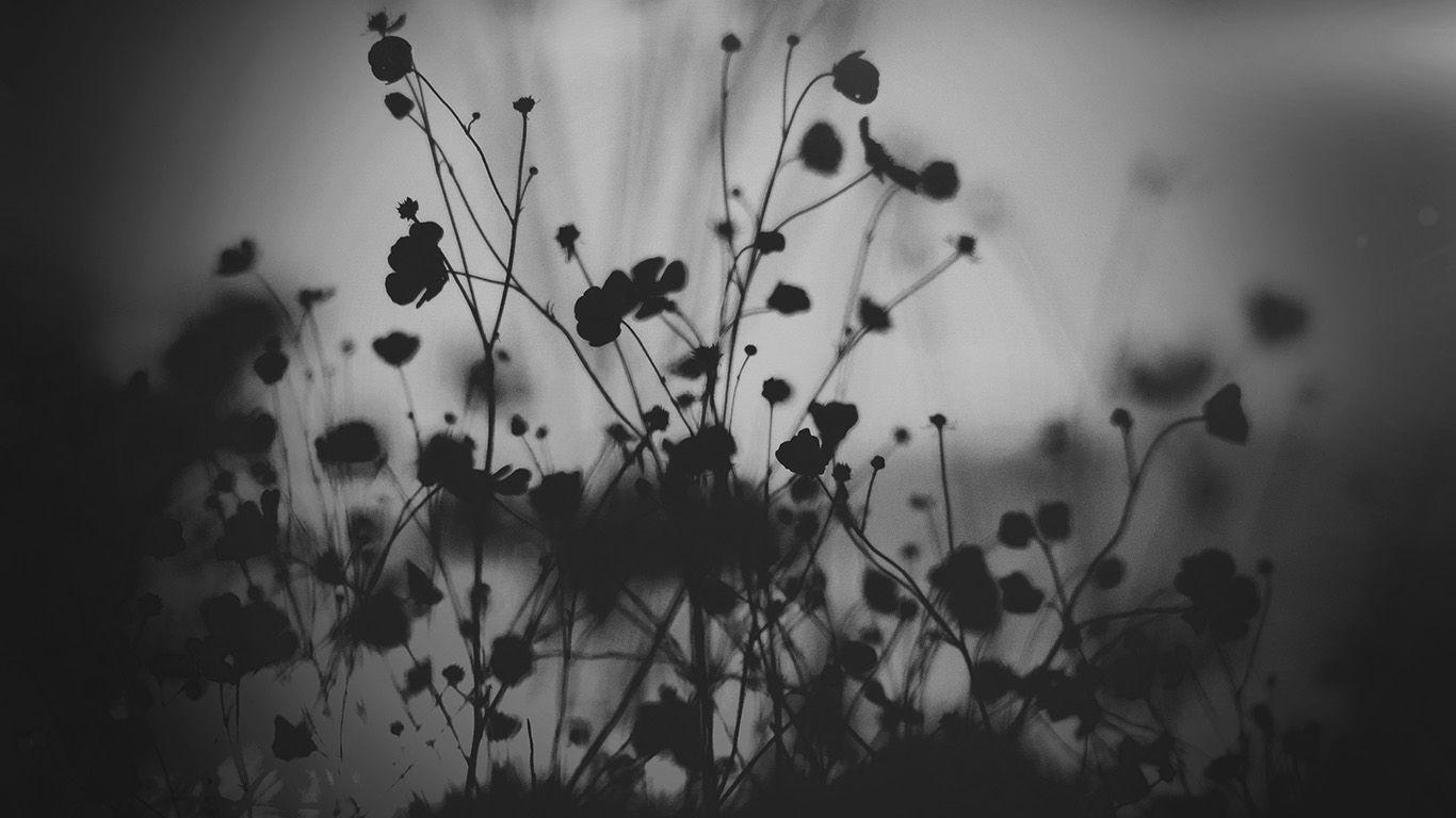 Black Floral Desktop Wallpapers - Top Free Black Floral Desktop